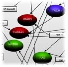 Clinical Trial Tools Image